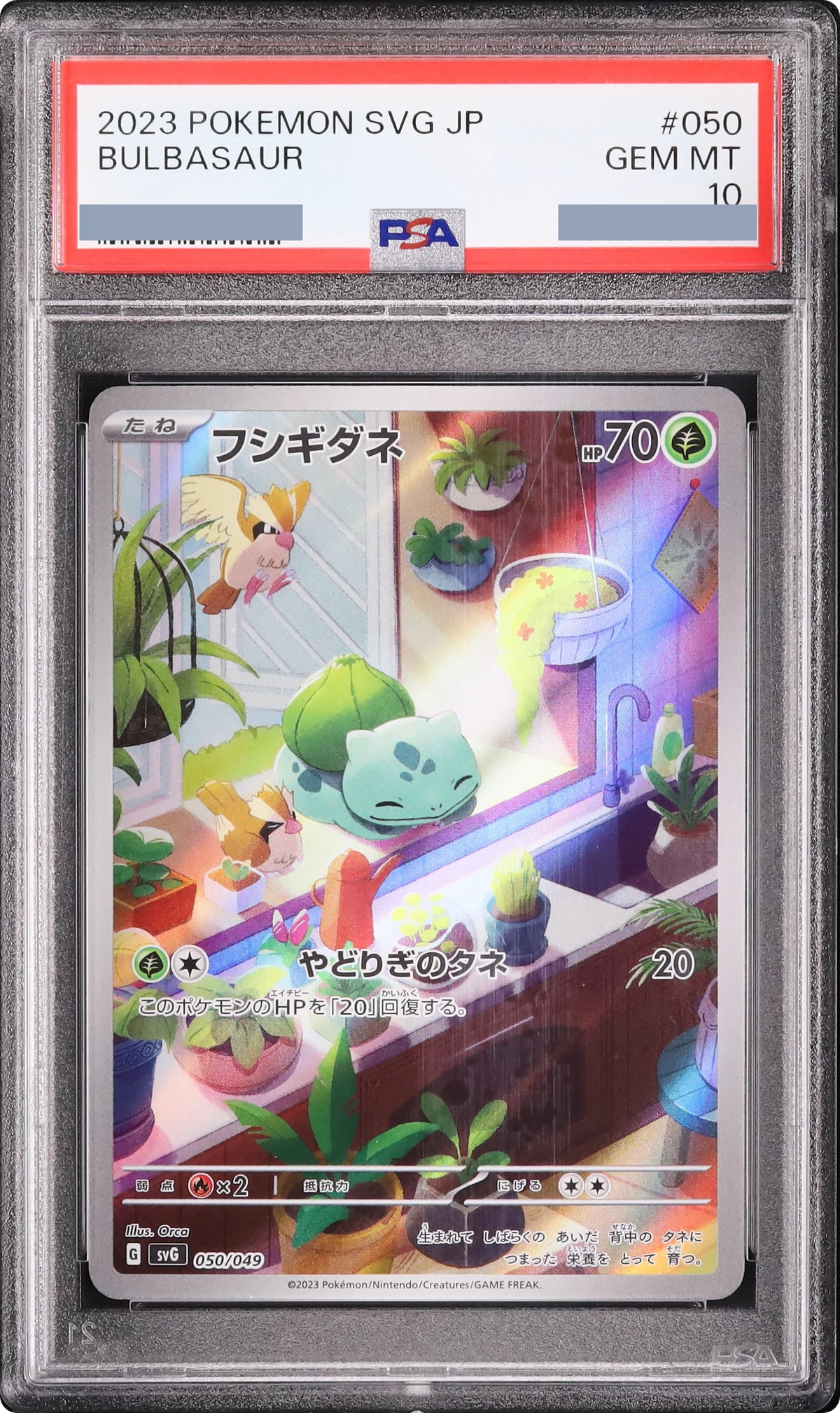 2023 Bulbasaur :Full Illustration [SVG 050/049] JP PSA 10